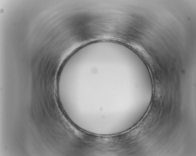 X0000088911286200706291520