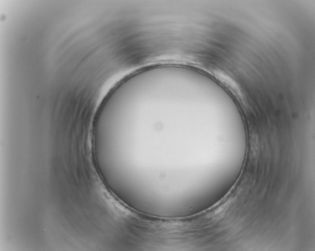 X0000088911288200706291520