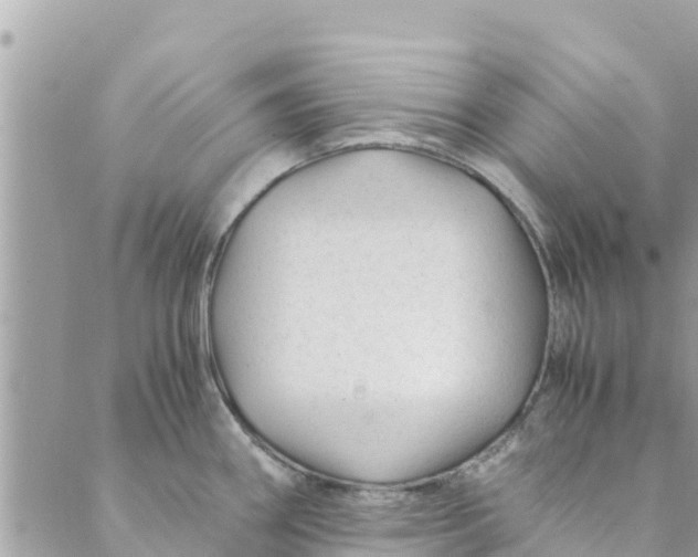 X0000088911290200706291520