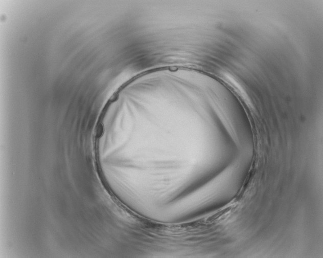 X0000088911291200706291520