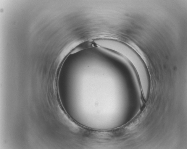 X0000088911293200706291520