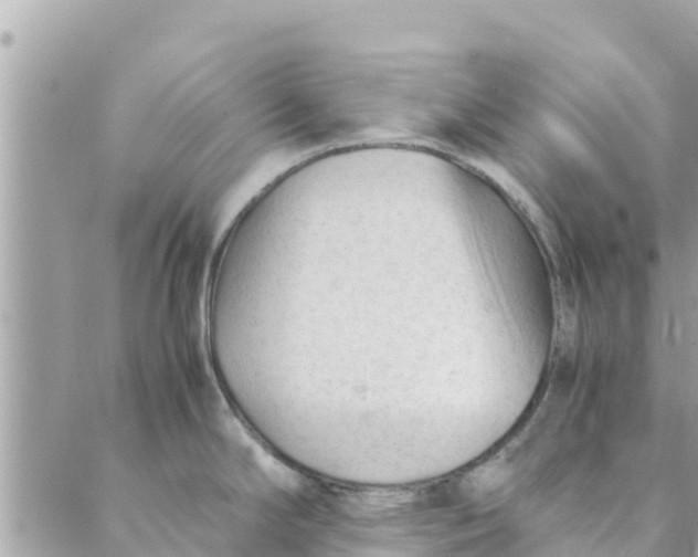 X0000088911294200706291520