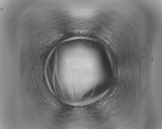 X0000088911297200706291519