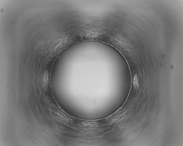 X0000088911299200706291519