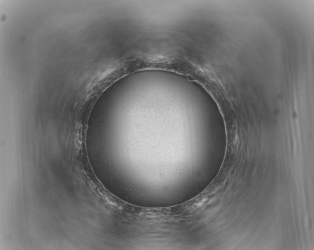 X0000088911301200706291519