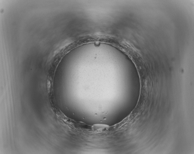 X0000088911302200706291519