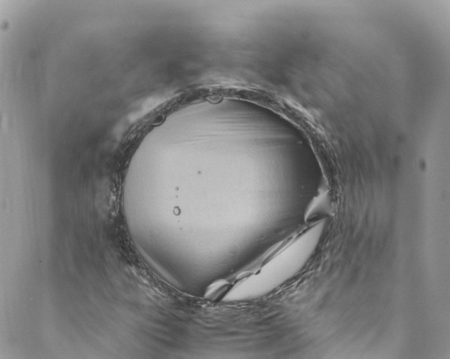 X0000088911303200706291519