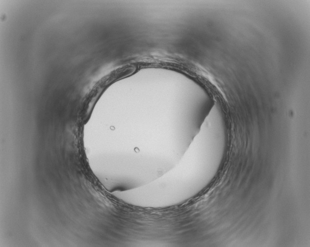 X0000088911304200706291519