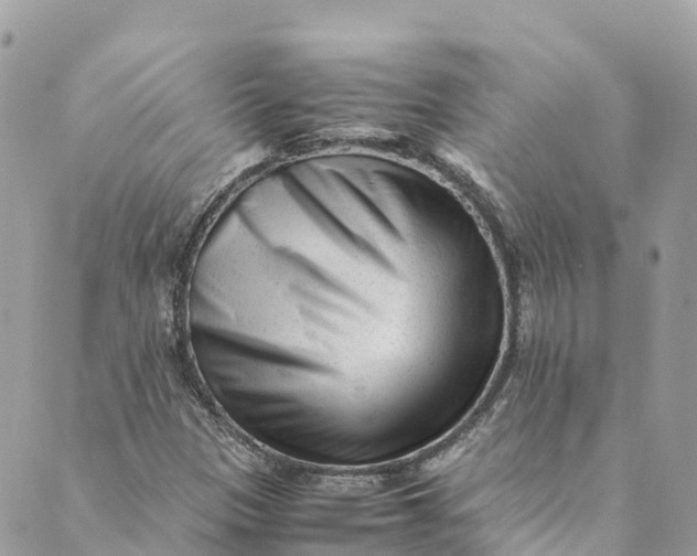 X0000088911305200706291519