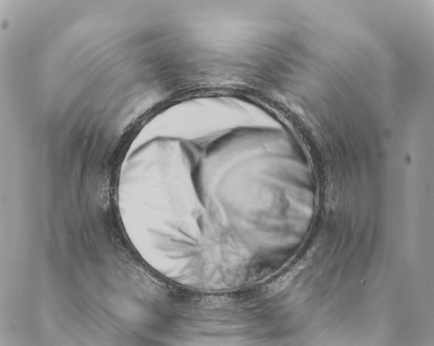 X0000088911306200706291519