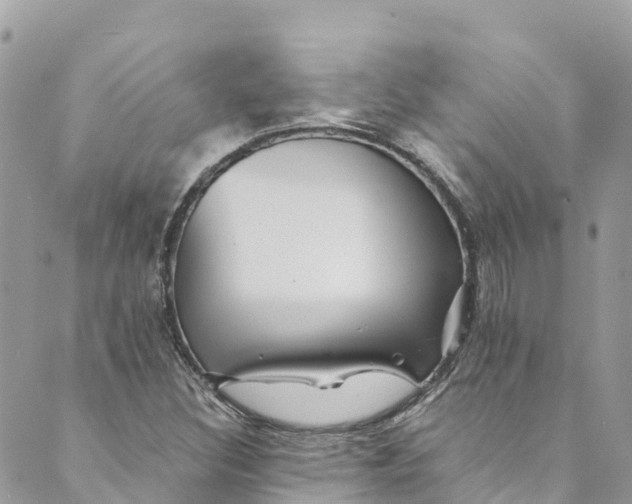 X0000088911308200706291519