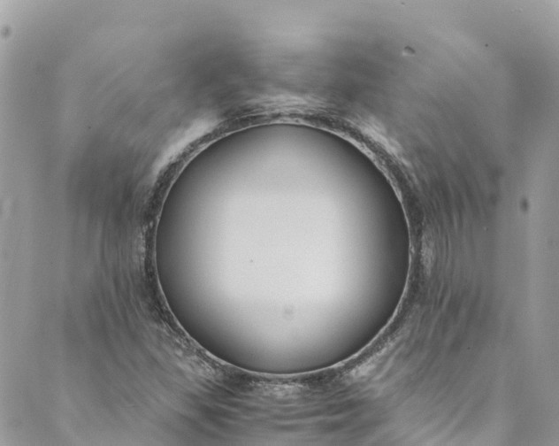 X0000088911309200706291519