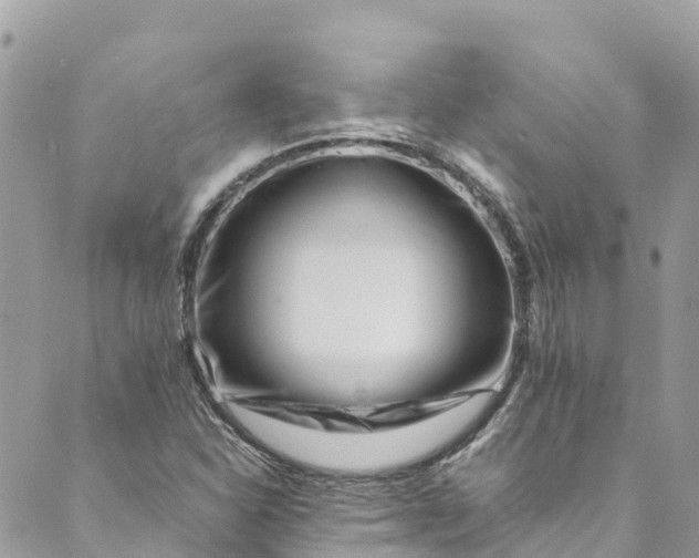 X0000088911310200706291519