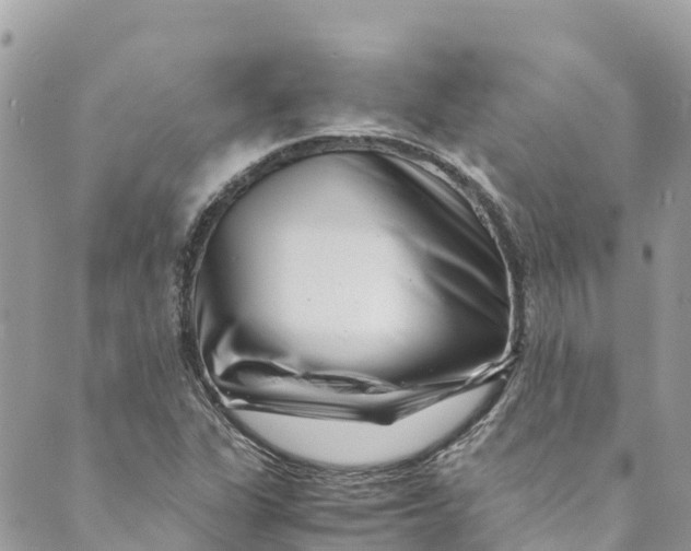 X0000088911311200706291519