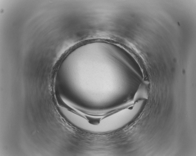 X0000088911312200706291519