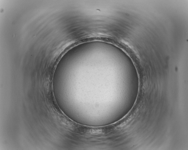 X0000088911313200706291519