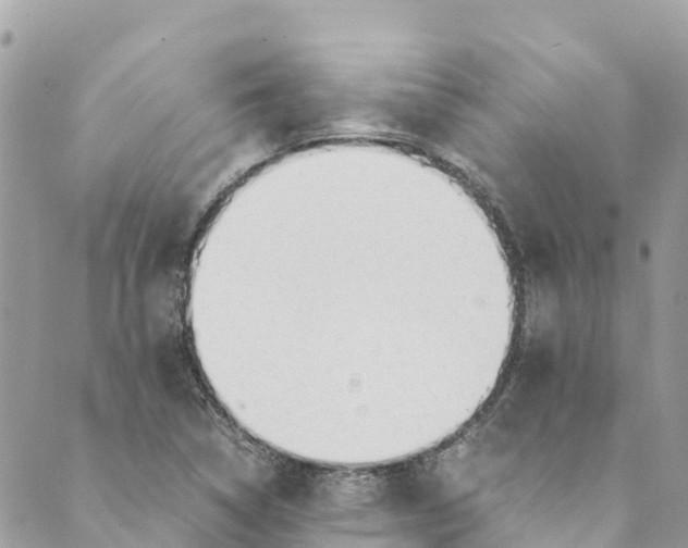 X0000088911314200706291519