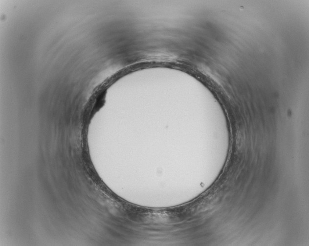 X0000088911315200706291519