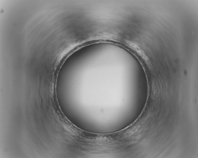 X0000088911316200706291519