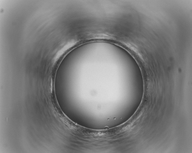 X0000088911317200706291519