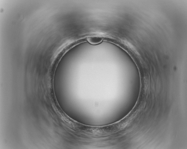 X0000088911318200706291519