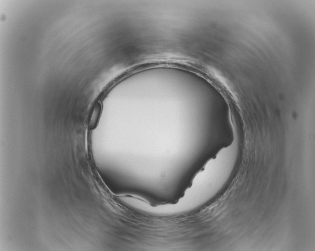 X0000088911320200706291519