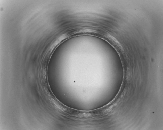 X0000088911321200706291520