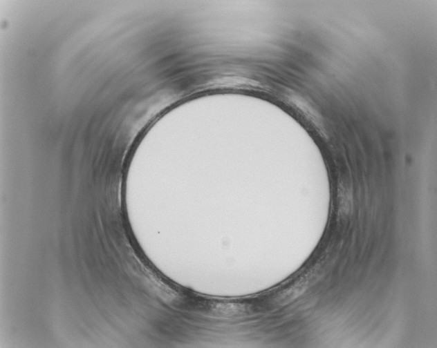 X0000088911322200706291520