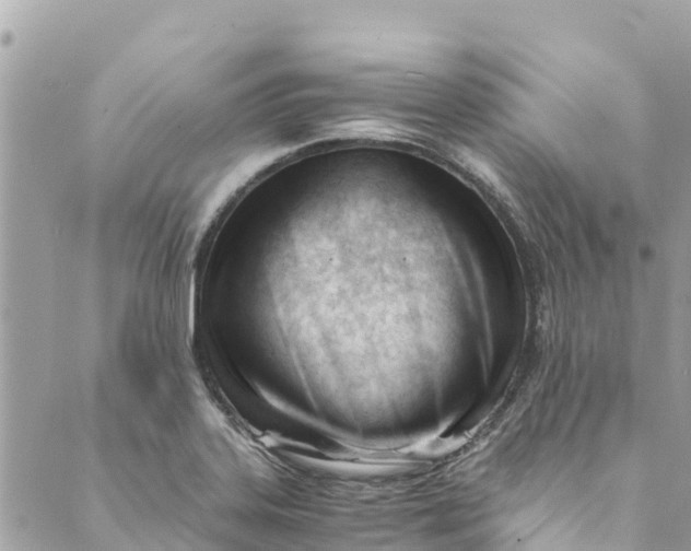 X0000088911323200706291520