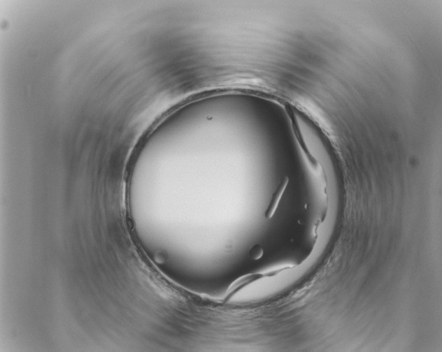 X0000088911324200706291520