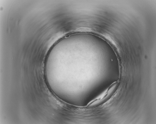 X0000088911325200706291520