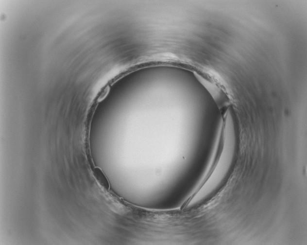 X0000088911326200706291520