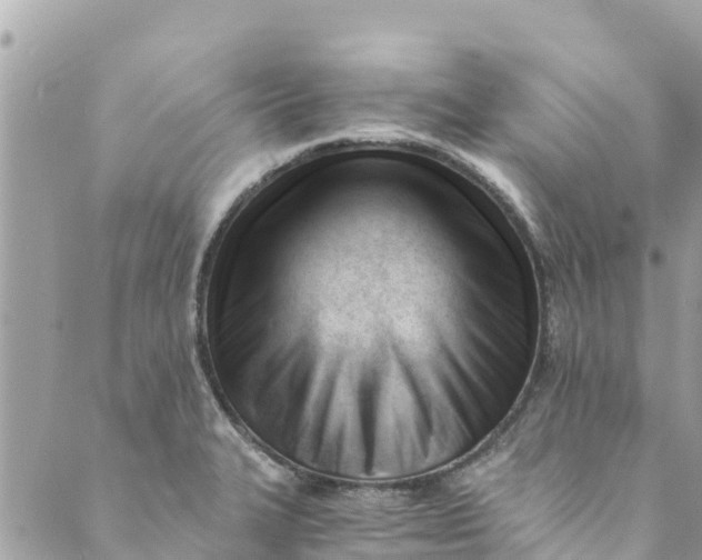 X0000088911327200706291520