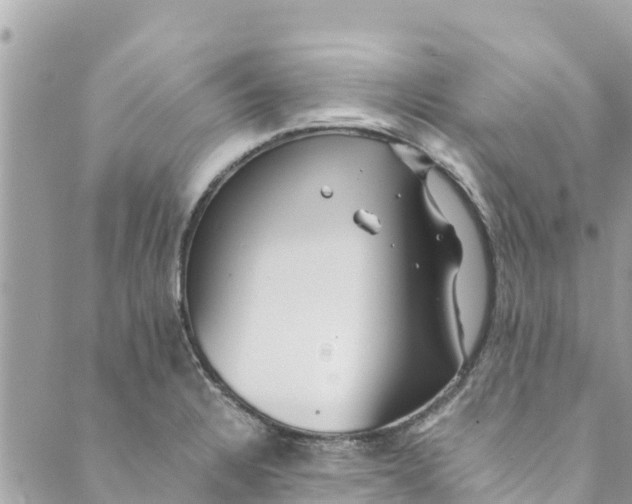 X0000088911328200706291520