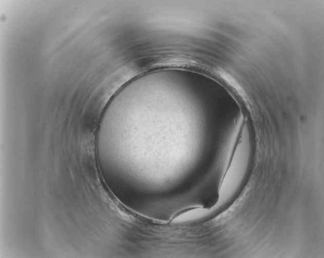 X0000088911329200706291520