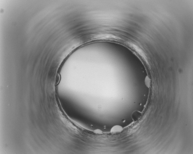 X0000088911330200706291520