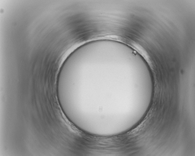 X0000088911332200706291520