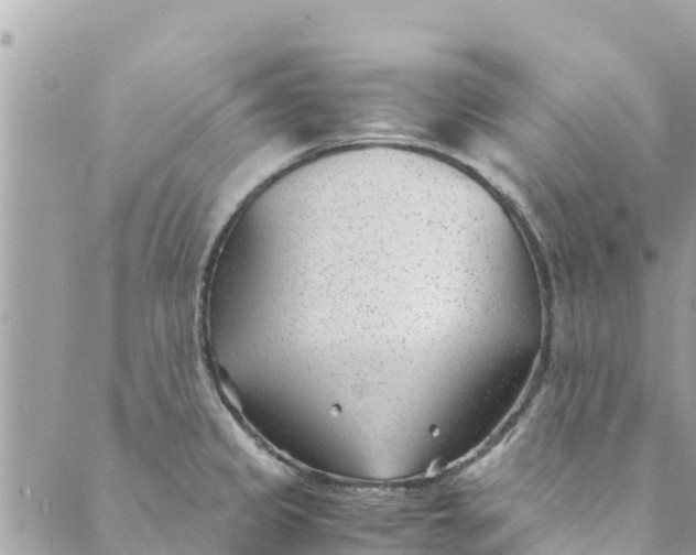 X0000088911333200706291520