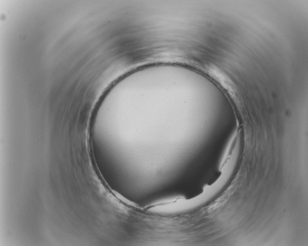 X0000088911334200706291520