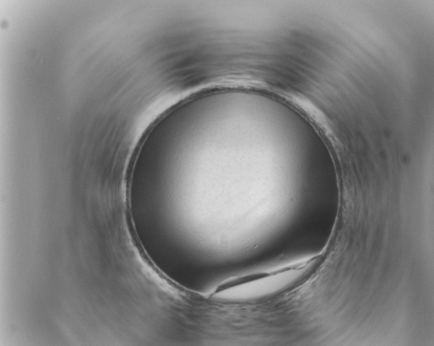 X0000088911335200706291520