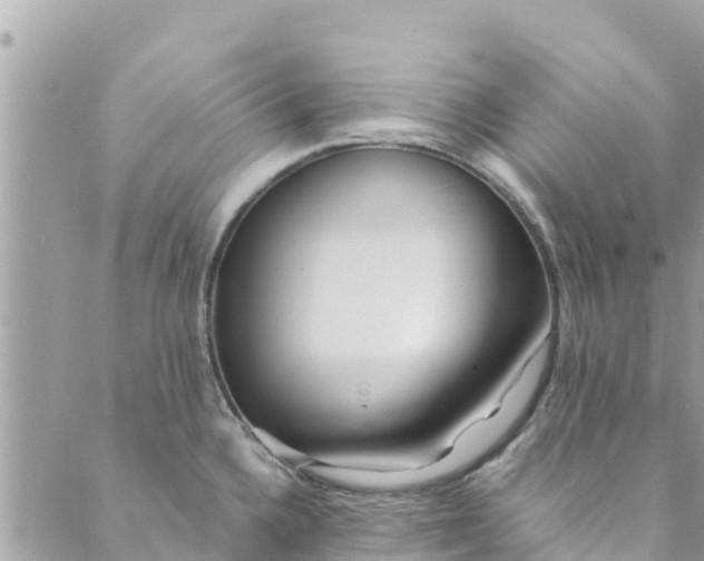 X0000088911336200706291520