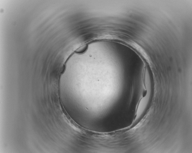 X0000088911337200706291520