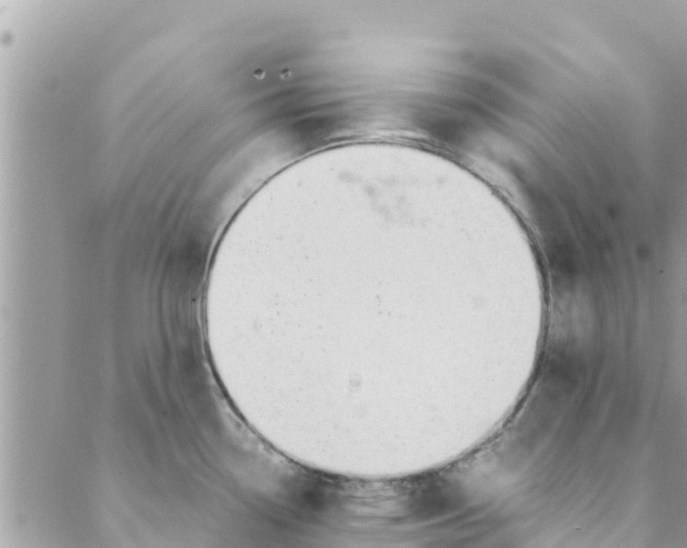 X0000088911338200706291520