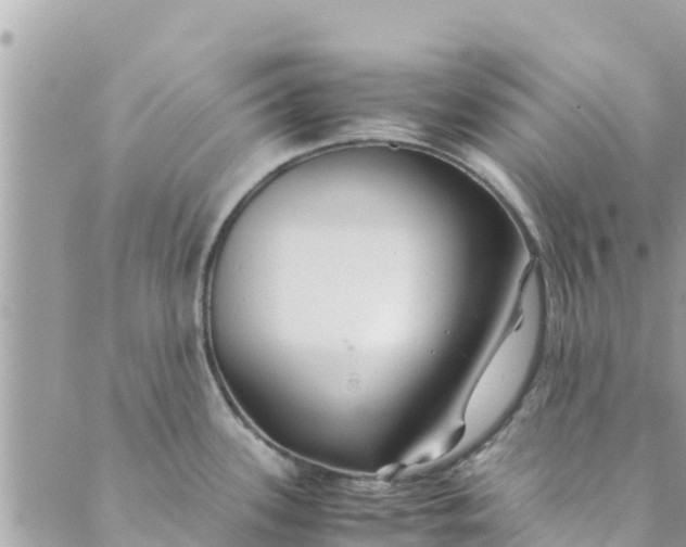 X0000088911339200706291520