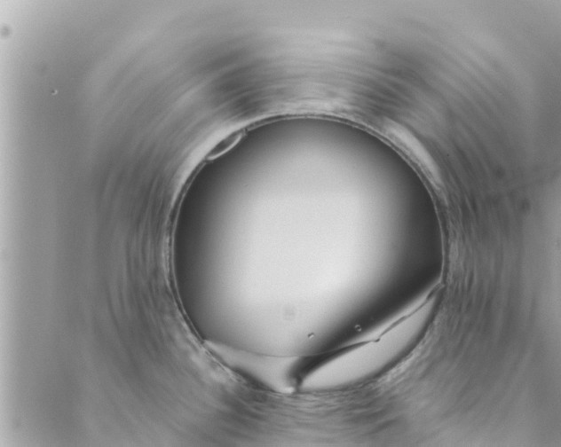 X0000088911340200706291520