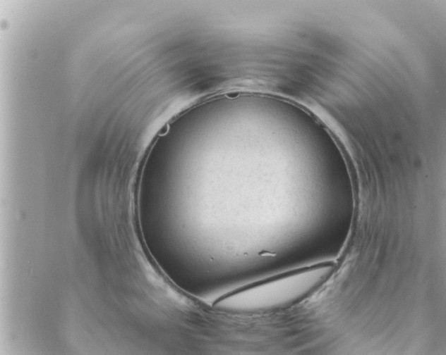 X0000088911341200706291520