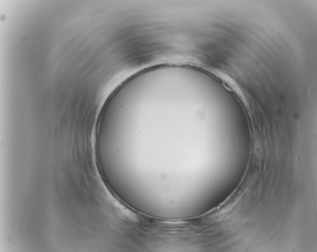 X0000088911343200706291520