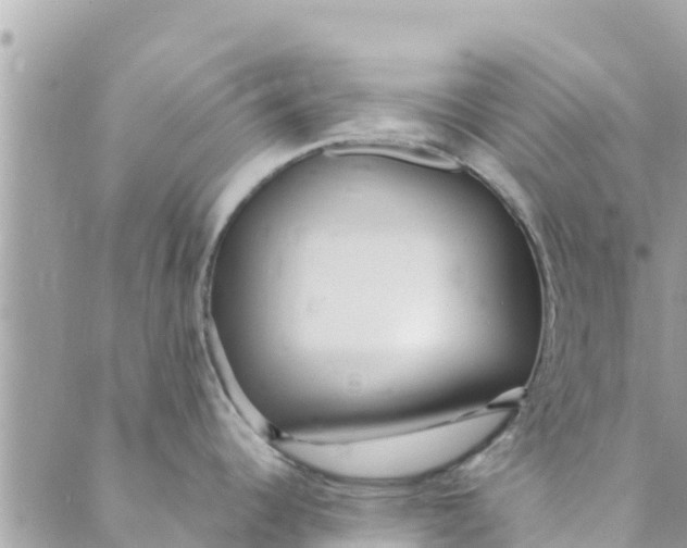 X0000088911344200706291520