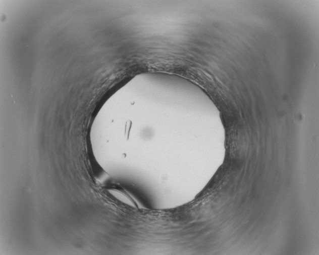 X0000088911345200706291519