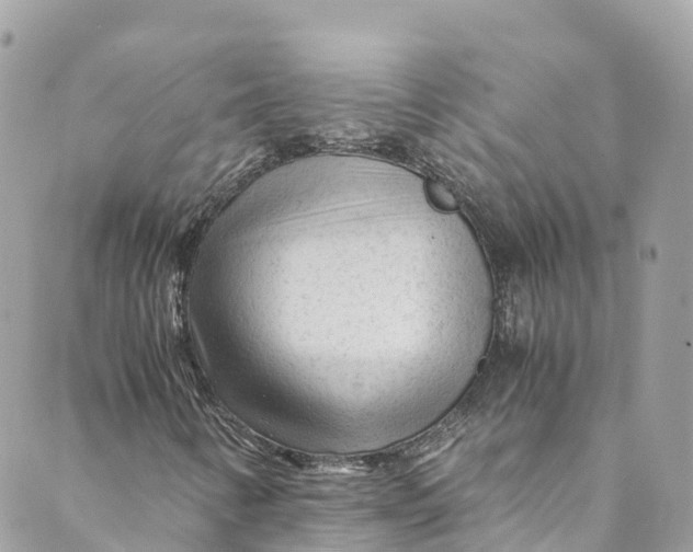 X0000088911346200706291519